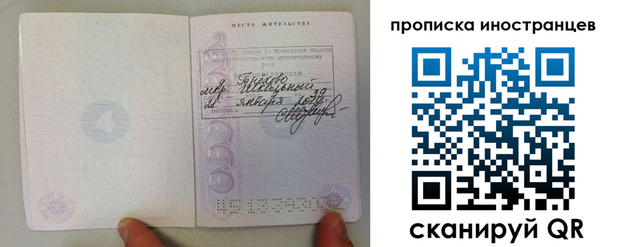 прописка поиск в Елабуге